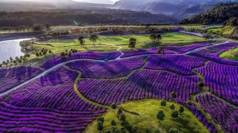 生態(tài)產(chǎn)品